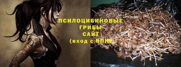 apvp Горно-Алтайск
