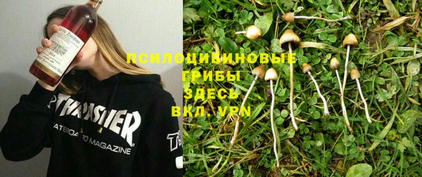 2c-b Волосово