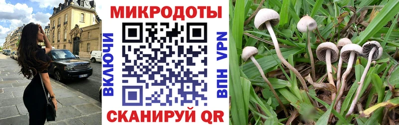 где продают Иланский МЕГА зеркало Галлюциногенные грибы Psilocybine cubensis